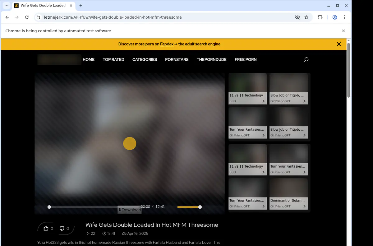 Letmejerk Video Downloader screenshot 2