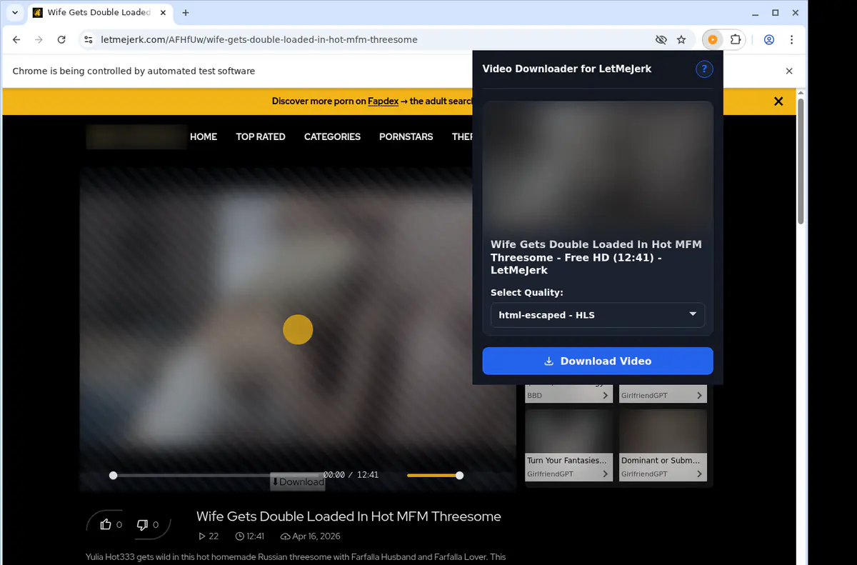 Letmejerk Video Downloader screenshot 3